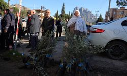 Büyükşehir Belediyesinden üreticilere zeytin fidanı desteği