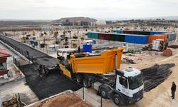 Hayvan barınağında sona yaklaşılıyor