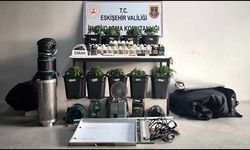 İklimlendirme sistemi kurup kenevir yetiştiren 3 kişi yakalandı