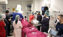 Yabancı doktorlar tecrübe için Türk doktorlarını seçti