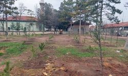 Umraniye köylüleri 300 adet fidanı okul ve camii bahçesine diktiler