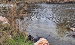 Trenin çarptığı yaya hayatını kaybetti