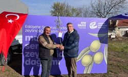 Eskişehir’de zeytin geleceğe kök salıyor