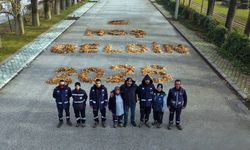 Yapraklarla yazılan sımsıcak karşılama: “Hoş Geldin 2026”