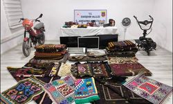 İlçedeki 20 eve girerek hırsızlık yapan 2 kişi yakalandı