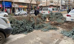 Eskişehir'de fırtına sebebiyle ağaçlar devrildi