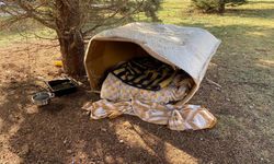 Soğuk kış şartlarında hayvanlar için korunaklı kulübeler yaptılar