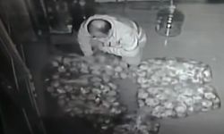 Gece vakti ekmekleri çalıp küflü halde geri bıraktı