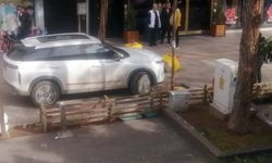 Yasak yere girmeye kalktı