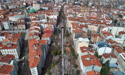 Hamamyolu Caddesi’nde ağaç budama çalışması başlıyor