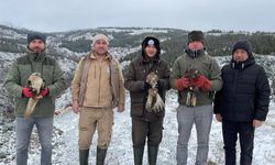 Yaralı yırtıcı kuşlar yeniden özgürlüğe kanat çırptı