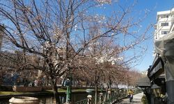Eskişehir'de bahar yüzünü gösterdi