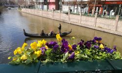 Eskişehir'de kartpostallık manzara: Köprü çiçek açtı