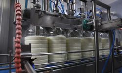 Eskişehir'de Halk Süt milyonları buluşturdu