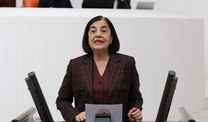 Jale Nur Süllü'den Bakanlığa sert eleştiri