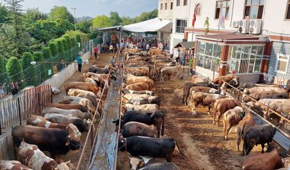Bayrama günler kala kurban pazarlığında uçurum büyüyor