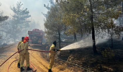 Bilecik'teki yangın büyümeye devam ediyor! 1 ilçeye daha sıçradı!