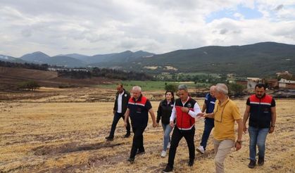 Yangın bölgesinde çalışmalar devam ediyor