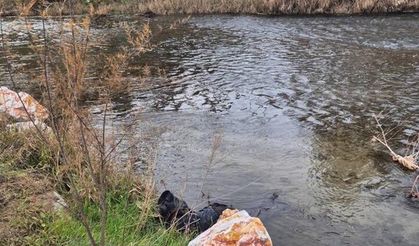 Trenin çarptığı yaya hayatını kaybetti