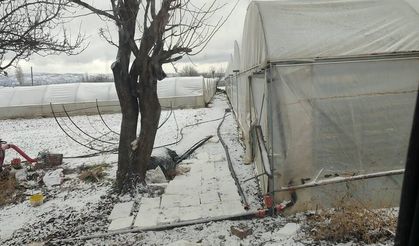Kar yağışı sebebiyle seralar buz tuttu
