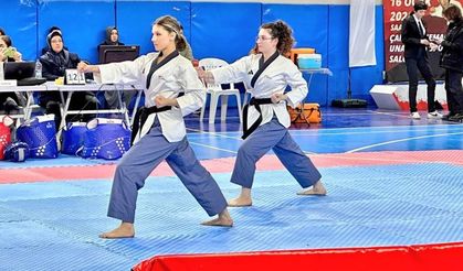 Eskişehir'de Büyükler Taekwondo İl Şampiyonası düzenlendi