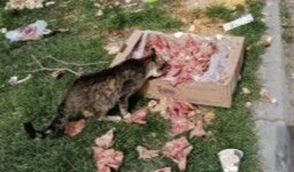 Eskişehir'deki parkta çirkin görüntü!