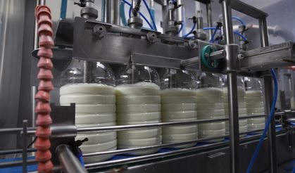 Eskişehir'de Halk Süt milyonları buluşturdu