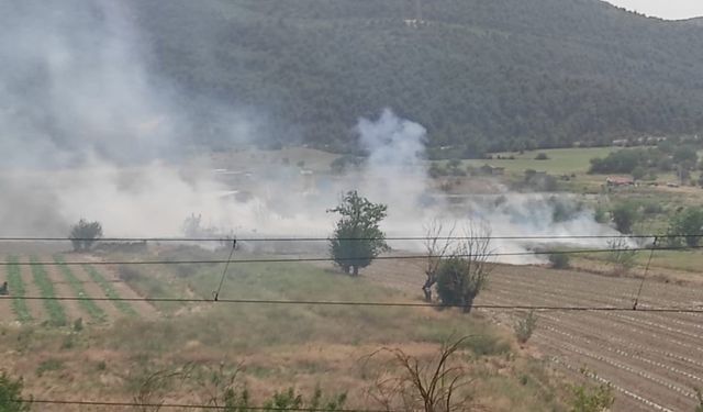 Anız yangını paniğe neden oldu