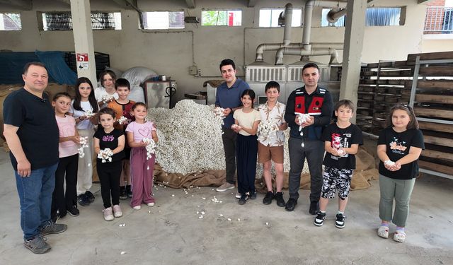 Sarıcakaya'da ipekböceği ıslahıyla ekonomiye katkı
