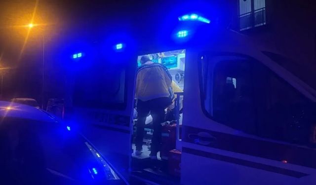 Bilecik’teki silahlı kavgada 2 kişi yaralandı