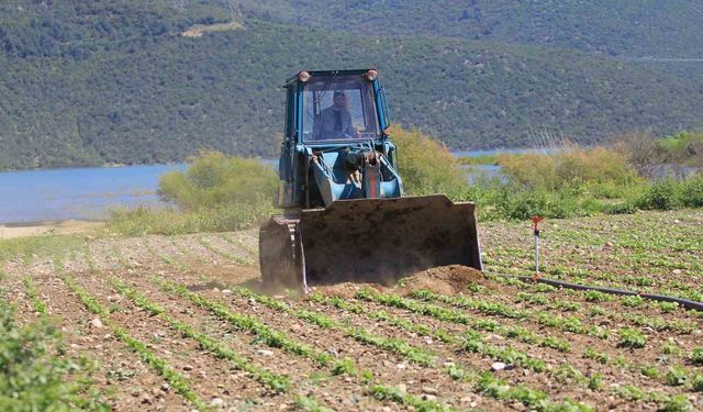 Eskişehir'in o bölgesinde 50 metrekareden fazla bahçe ekimi yasak
