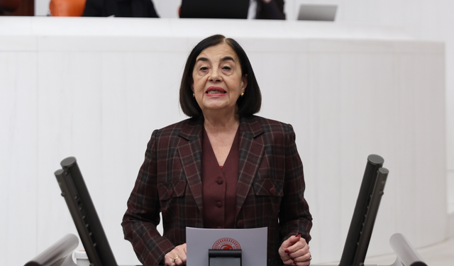Jale Nur Süllü'den Bakanlığa sert eleştiri