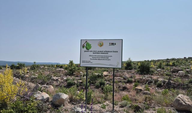Şehidimizin hatırası doğayla bütünleşti