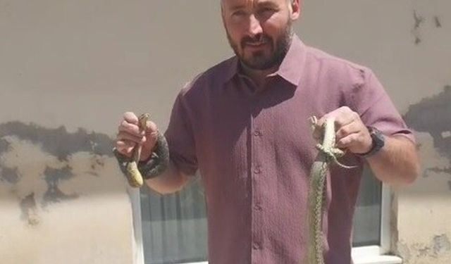 Komşusunun evindeki yılanları eliyle çıkardı