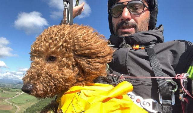 Köpek Toby paraşütle atlayıp 330 metrede uçtu