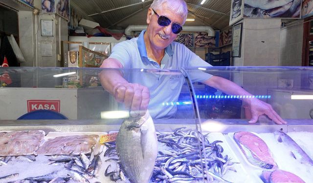 Eskişehir'de sardalya ve kefalin mevsimi başladı