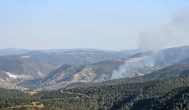 Bilecik-Eskişehir yolunda çıkan orman yangını kontrol altına alındı