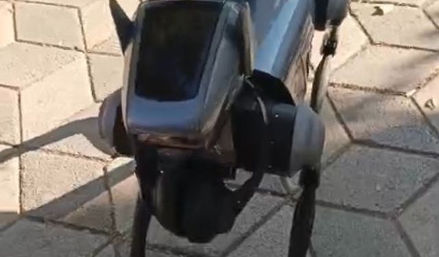 Kent merkezindeki robot köpek görenleri hayrete düşürdü