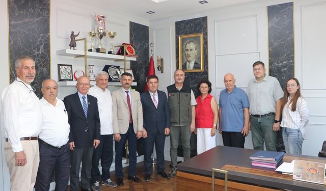 Seyitgazi'de yanan ormanlık alanlara ağaçlandırma yapılacak!