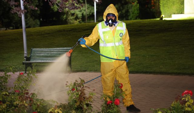 Yeşil alanlarda gece ilaçlamaları devam ediyor!