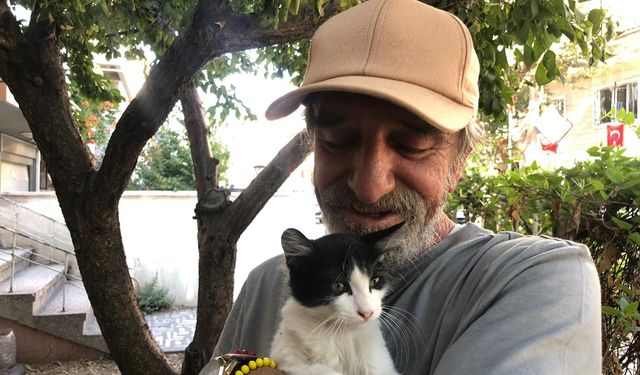 30 yıldır sokak kedilerine kapısını açıyor