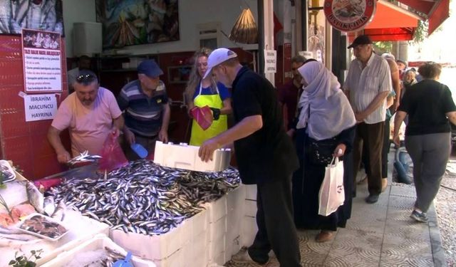 Eskişehir'de 1 ton hamsi ücretsiz dağıtıldı