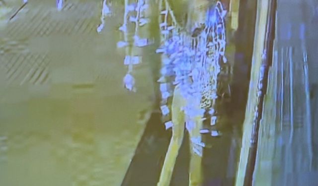 Bir kadın 4 dükkanın önündeki dekorasyon malzemelerini çaldı