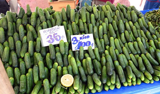 Kış mevsiminin yaklaşmasıyla turşu hazırlıkları başladı
