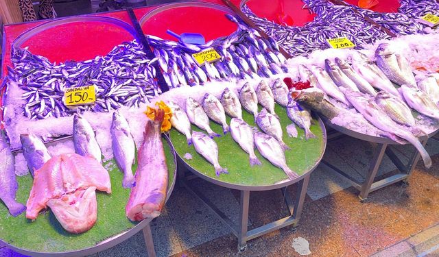 Balık sezonu bereketli başladı