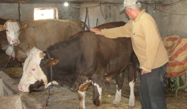 Emekli olan elektrik mühendisi huzuru köyde buldu
