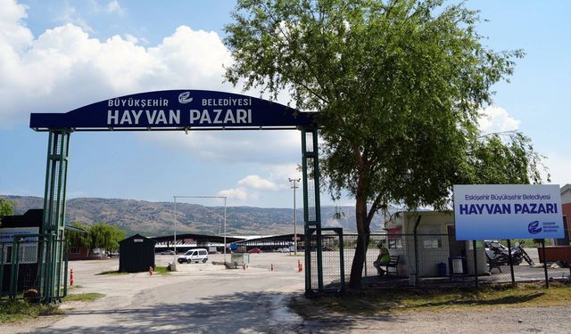 Büyükşehir Hayvan Pazarı geçici olarak kapatıldı