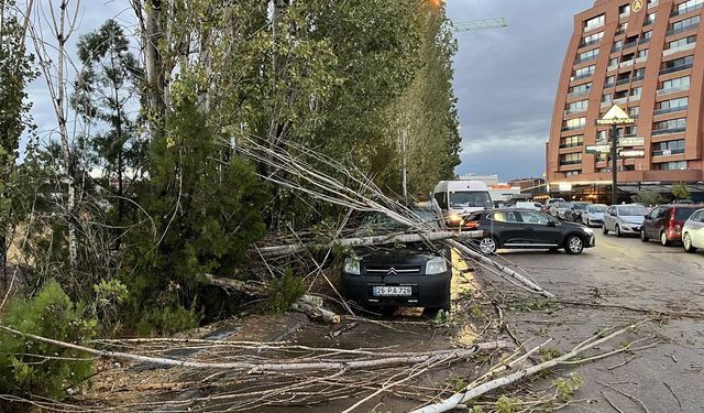 Üzerine ağaç dalı düşen araç kullanılamaz hale geldi