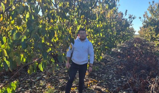 Zirai dondan etkilenen kiraz üreticisinden devlete destek teşekkürü