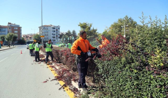 Budama çalışmaları hız kesmeden sürüyor